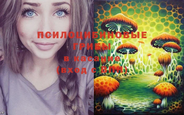 PSILOCYBIN Богородск