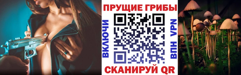 Псилоцибиновые грибы MAGIC MUSHROOMS блэк спрут Гвардейск